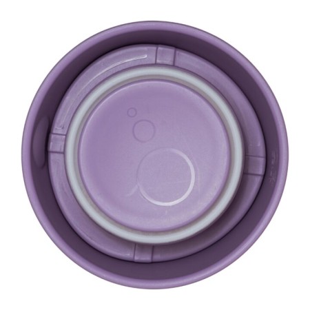 b.box Mini Termos na jedzenie 210ml, Fioletowy Miś - BOSSO Lublin - bossokids.pl