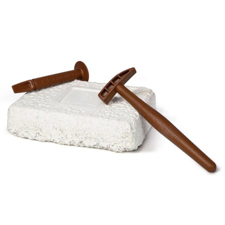 Clementoni Naukowa Zabawa. Skamieniałości. T-Rex fluoresc. 7+