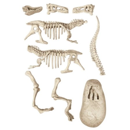 Clementoni Naukowa Zabawa. Skamieniałości. T-Rex fluoresc. 7+