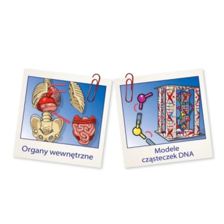 Clementoni Naukowa Zabawa LAB. Ciało Ludzkie Mini | 8+