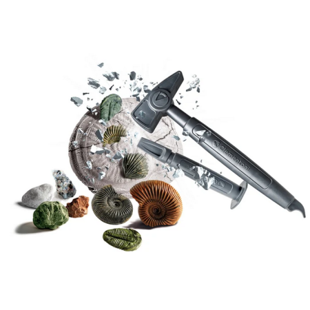 Clementoni Naukowa Zabawa. Skamieniałości. Skamieliny i Minerały. 6+