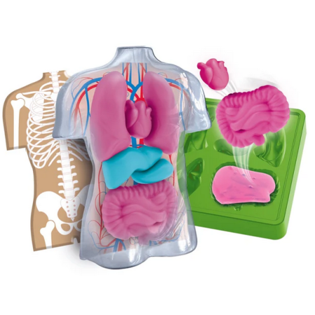 Clementoni Naukowa Zabawa LAB. Anatomia | 7+