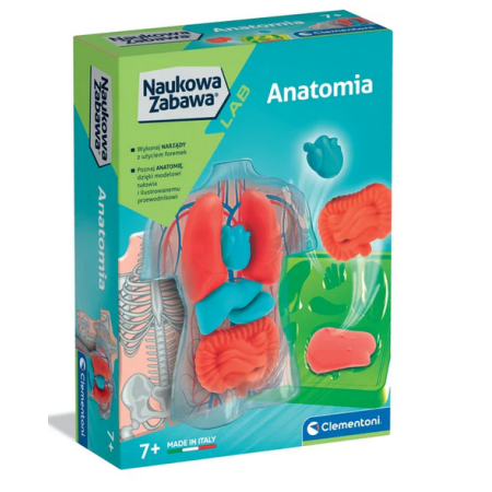 Clementoni Naukowa Zabawa LAB. Anatomia | 7+
