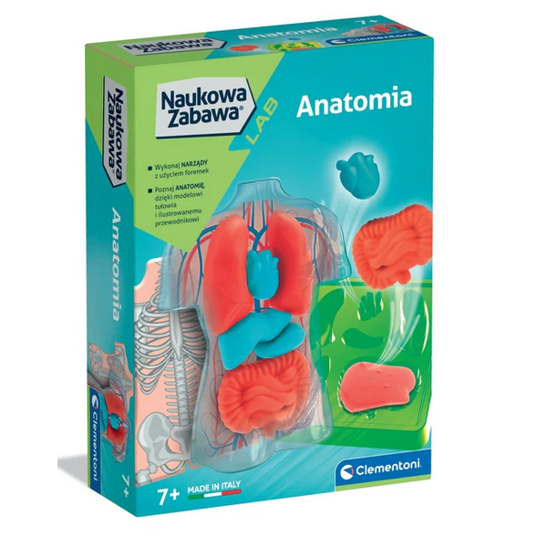 Clementoni Naukowa Zabawa LAB. Anatomia | Zestaw edukacyjny 7+